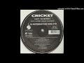 Cricket -Get Sorted (No More Mind Games) (DJ Antonellis Club Flava)