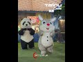 HR TEDDY CONTACT NO - 9437681796 #angul #teddy #panda
