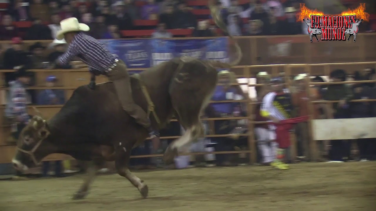 MOROCO DE PATZCUARO VS EL GRINGO