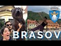 Por qué me encantó BRASOV? Conocé esta hermosa ciudad de TRANSILVANIA / RUMANIA 🇷🇴