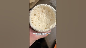 When Taylor Swift makes sourdough, you make sourdough #sourdough #sourdoughbread #sourdoughstarter