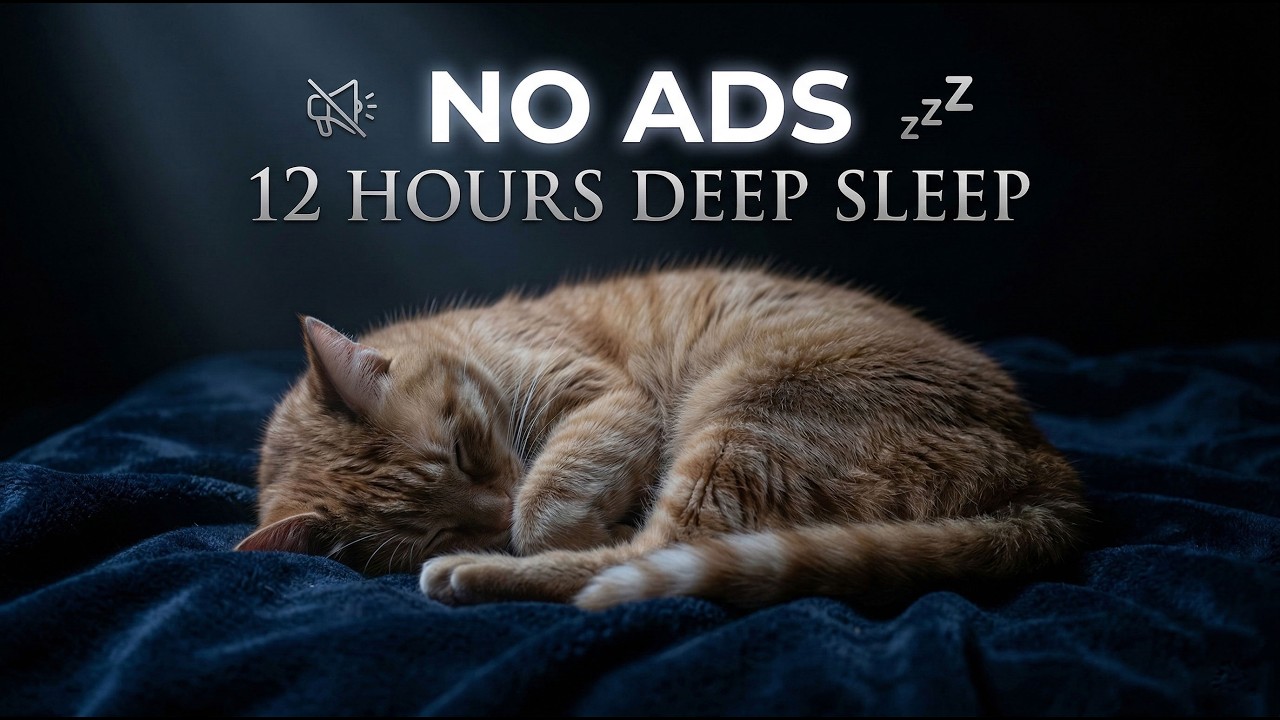 12 Hours Of Calming Music for Cats 🐈 Deep Relaxing Sleep Tunes 🎵 Calm Rest 😴 Cat TV No Ads