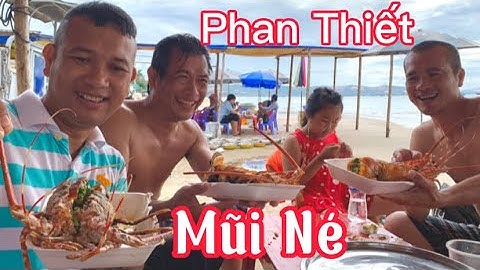 Du lịch nghỉ dưỡng Mũi Né Phan Thiết |  Du lịch tự túc ăn tôm hùm, Hải sản ngon rẻ