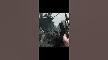 new bug on hunt showdown. #bug #newbug #clips #highlights #bestmoments #moments