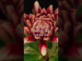 Jason Derulo - Want to Want Me | Lyrics