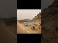 حرب قرود ابها قرود الطايف اكسبلور حرب قرود ابها قرود الطايف اكسبلور
