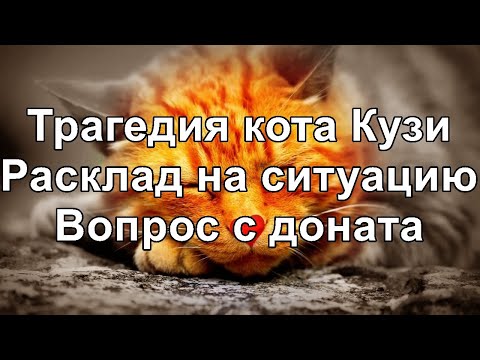 Видео: Като убива отношенията. Как фино да отровите интимността