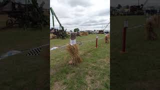 Antique Powerland, part 26, 6k, vertical