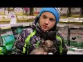 Друзья посмотрите, не пожалеете Друзья посмотрите, не пожалеете