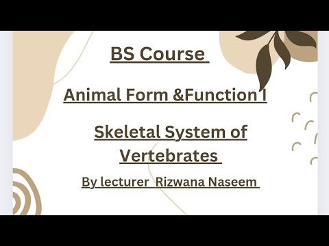 BS Zoology Animal Form and Function by Lecturer Rizwana Naseem - YouTube