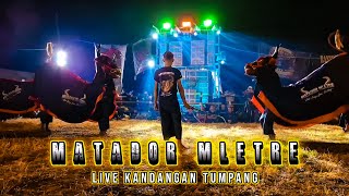 SPECIAL PERFORM bantengan MATADOR MLETRE || Pambuko terbaru full Kreasi || Live Kandangan - Tumpang
