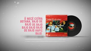 Hafız (Bajo De Bajo) Celal Evindar - Karaoke