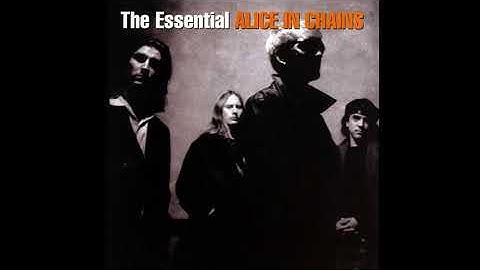 (2006)The Essential -  Alice In Chains