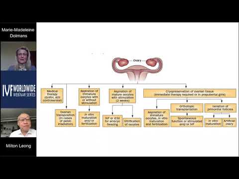 Video: Fruktbarhetsbevaring Med Vellykket Graviditetsutfall Hos En Pasient Med Transplantert Hjerte Og Ikke-Hodgkins Lymfom - En Sakrapport