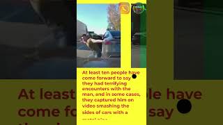 THE SUSPECTED TESLA DRIVER RESPONSIBLE FOR THE SOCAL ROAD RAGE ATTACKS HAS BEEN ARRESTED