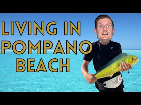 ვიდეო: უსაფრთხოა პომპანოს სანაპირო?