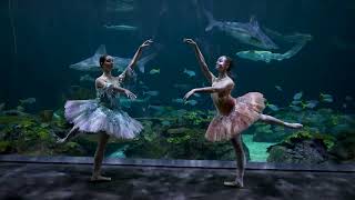 Wonder Amongst the Waves with Joffrey Ballet