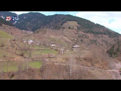 მოქალაქე მამაპაპისეულ მიწის ნაკვეთს კარგავს, რაშიც ადგილობრივ ხელისუფლებას ადანაშაულებს