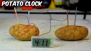 Potato Clock  Science Experiments