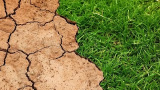 Oxidation Versus Decomposition