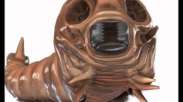 Godzilla Generations: Maximum Impact OST - Mothra (Larva) Extended