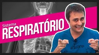 Sistema Respiratório | Prof. Paulo Jubilut