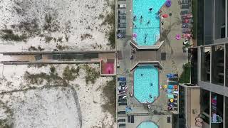 Phoenix X   Orange Beach, AL