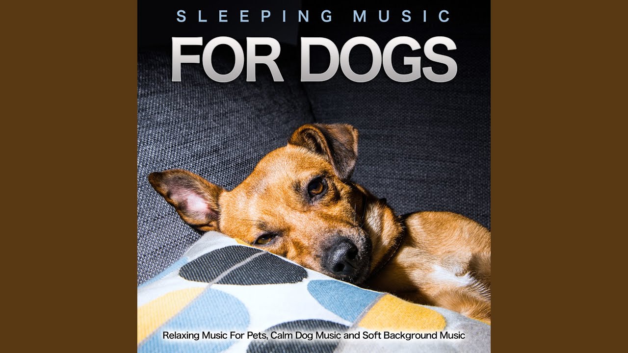 Relaxing Dog Music YouTube