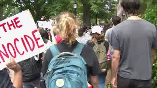 Pro-Palestinian protesters hold walkout at UNC-Chapel Hill