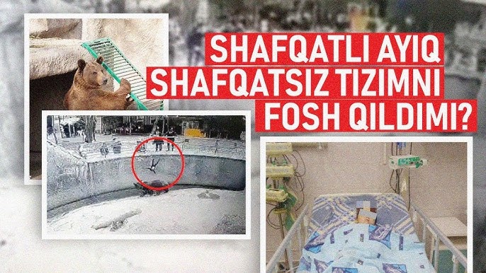 Ochiq havoda dadam va qizi porno It uslubidagi mushukning yalangoch fotosurati