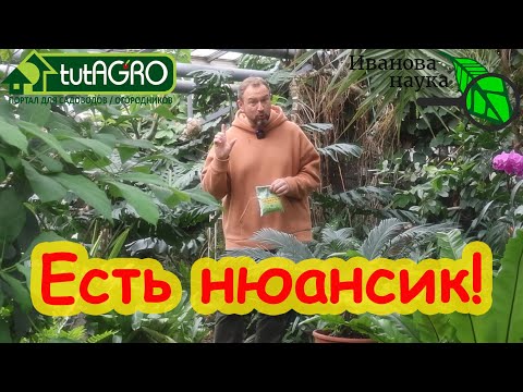 Мощное природное удобрение есть у каждого на кухне! Как подкармливать сывороткой, молоком и кефиром.