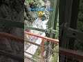 Bridge over mandakini river#kedarnath #fyp #trending #shorts #video