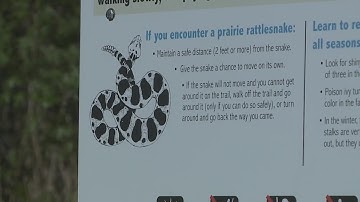 Rattlesnakes are on the trails in early summer