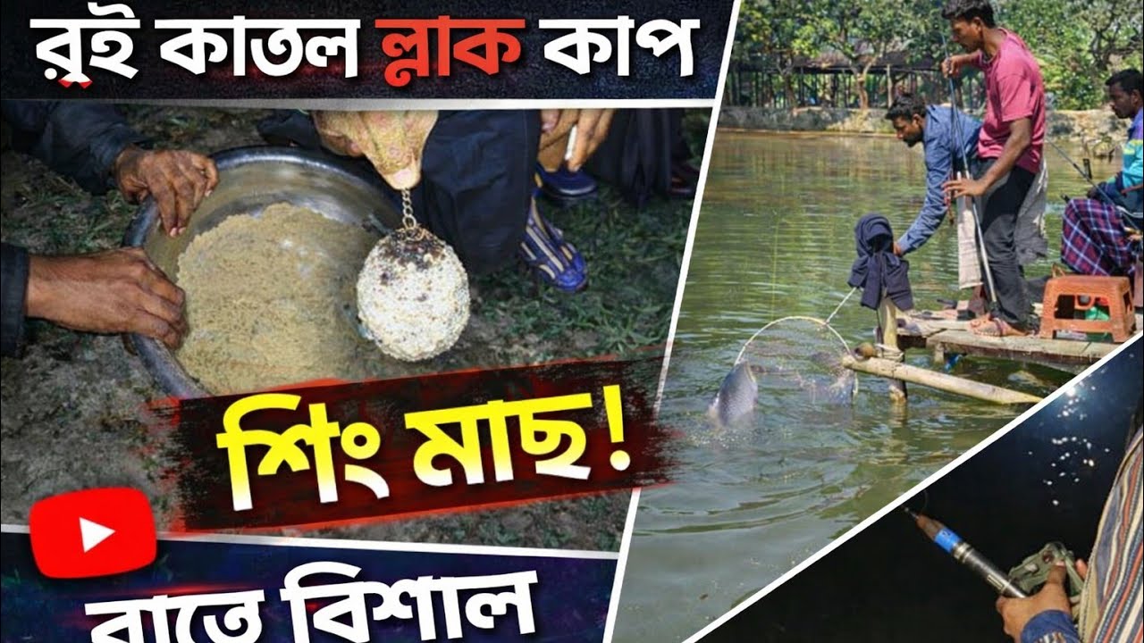 বড় মাছ ধরার জাদুকরী টিপস! 🎣 Hook Fishing Best Tips & Tricks @ns bangla70 