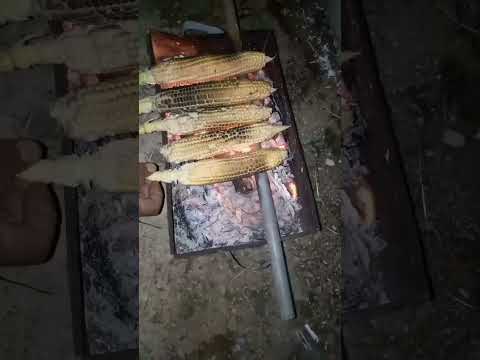 مين بحب الذرة Explore Food Shortsviral Viral ذرة Corn Shorts Youtubeshorts Subscribe