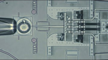 Nanoinjector Device: New Gene Therapy Advance from BYU Microbiologists and Engineers