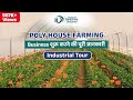 पॉली हाउस की खेती कैसे करें | How To Make Poly House Farming