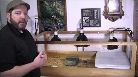 Box Turtles are Officialy in Hibernation