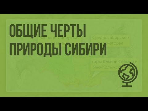 Общие черты природы Сибири. Видеоурок по географии 9 класс