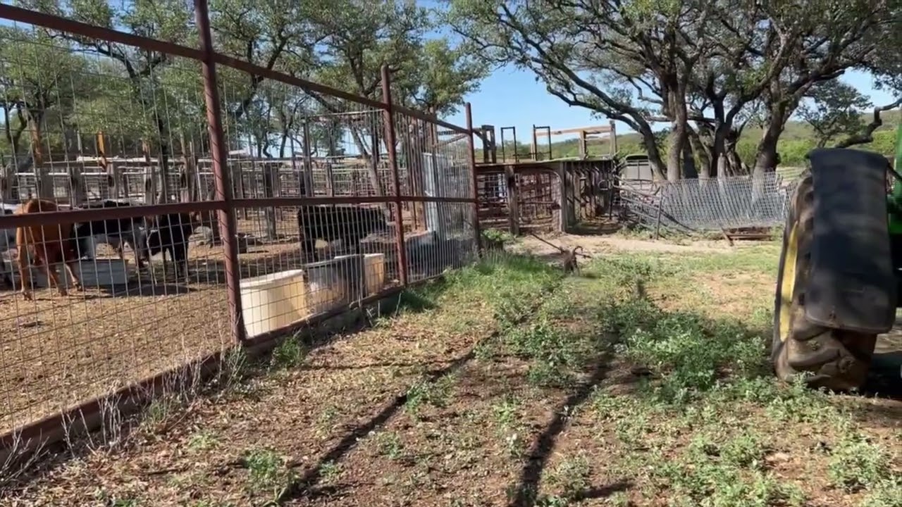 20220527 Cattle Exposure