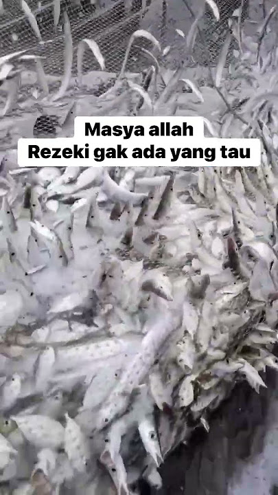 semoga bukan pertanda buruk.