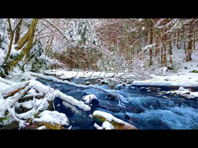 Living on Earth: Sounds of Winter