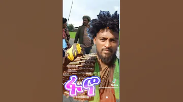 ምረጥ የፋኖ ሙዚቃ Best Fano Music 