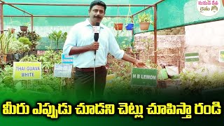 మీరు ఎప్పుడు చూడని చెట్లు చూపిస్తా రండి |Top Variety of Fruit Plants on Roof Top || Sumantv Rythu ||