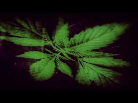 RAP RISE   batono policielo lyrics   ბატონო პოლიციელო ტექსტი   ლირიკა