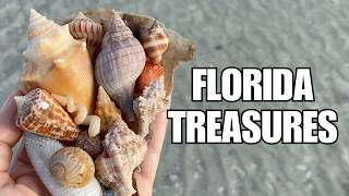 What can you find on Florida islands Shells, critters and time well spent exploring some islands!