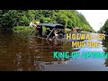 Hogwaller 4/24 - King of Spring Event.