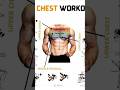 Best Workout Chest #chestworkout most Effective chest #motivation #uper #lowerchestworkoutatgym most