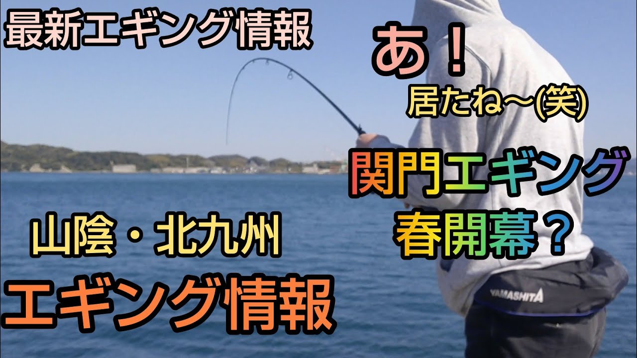 エギング 関門エギング春開幕か 春を告げる釣果が Youtube