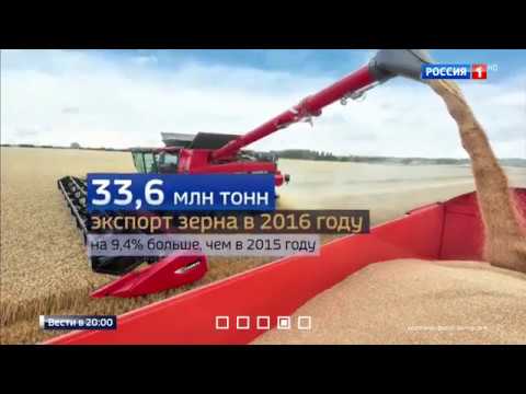 В России дефицит пшеницы для производства хлеба?